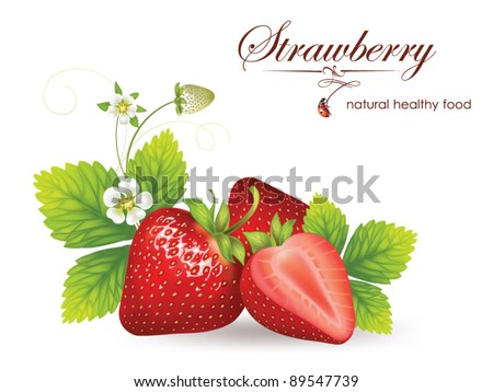 beautiful strawberries. vector illustration of a realistic