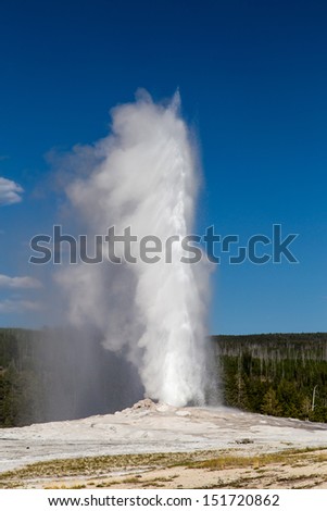 Old Faithful Geyser the iconic geyser in Yellowstone National Parks geothermal areas.