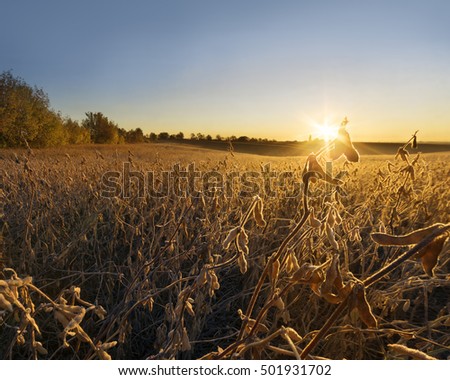Farmland early in the autumn morning