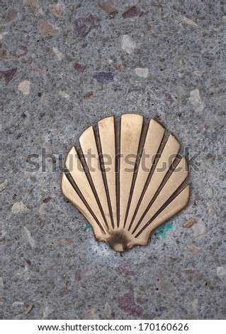 Shell of st james Stock Photos, Shell of st james Stock Photography ...