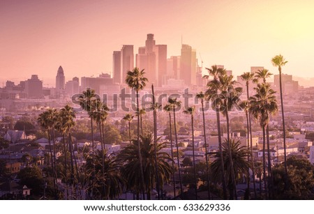 Beautiful sunset of Los Angeles downtown skyline and palm trees in foreground