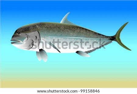 Download Giant Trevally Stock Images, Royalty-Free Images & Vectors | Shutterstock