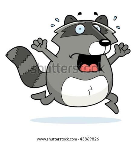 Raccoon Running Stock Photos, Images, & Pictures | Shutterstock