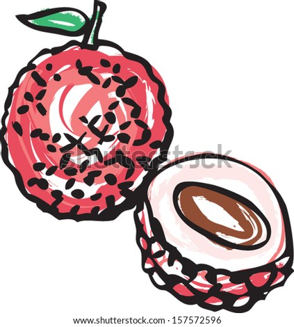 Whole and half Lychee illustration vector