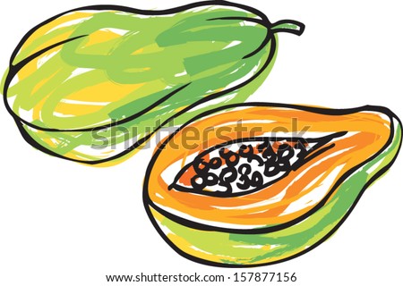 Whole sliced & segment papaya vector illustration