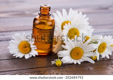 Essential aroma oil with chamomile on wooden background. Selective focus.