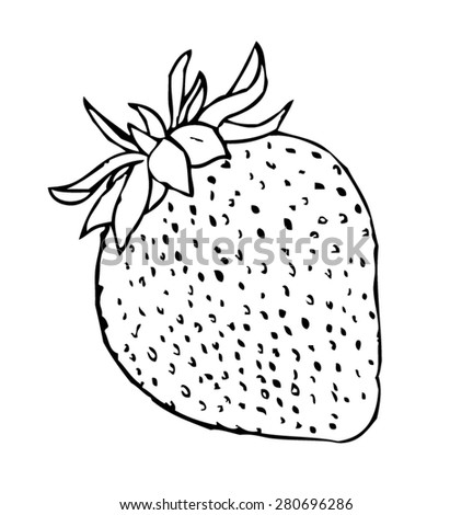 Strawberry Sketch Stock Images, Royalty-Free Images & Vectors ...