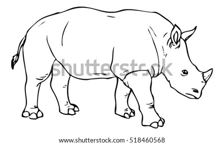 Realistic Rhino Drawing Vector Stock Vector 518460568 - Shutterstock