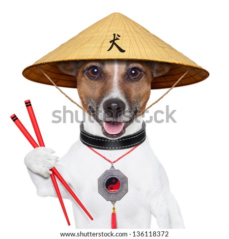 Image result for cute dogs holding chopsticks