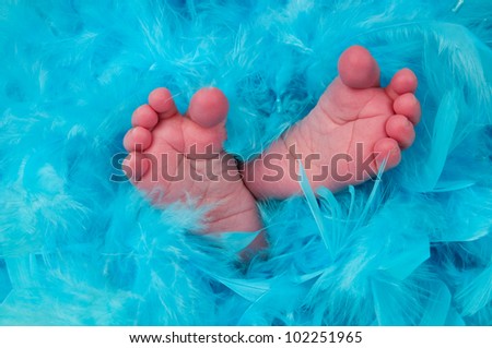 baby boy feet background blue feathers stock photo edit now