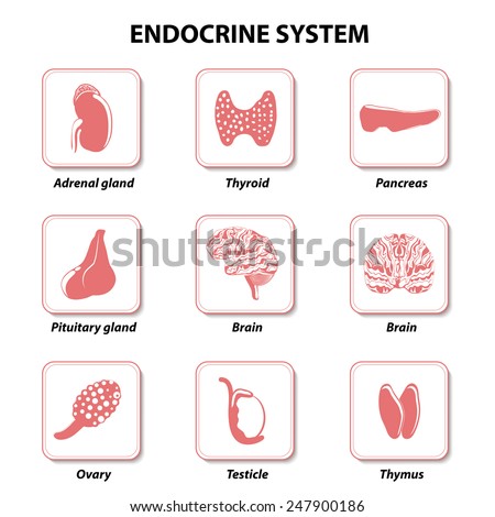 Case study endocrine system disorders Case study endocrine system disorders