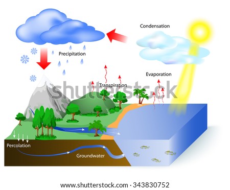 Water Cycle In A Statement 12