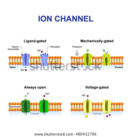 ebook Electron Beam Pasteurization and Complementary Food Processing Technologies ebook Electron Beam