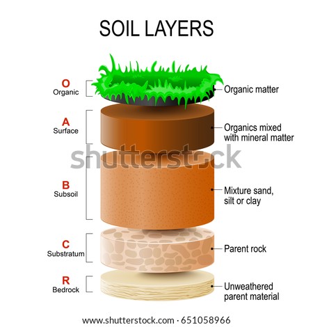 stock vector soil layers soil is a mixture of plant residue and fine mineral particles which form layers 651058966