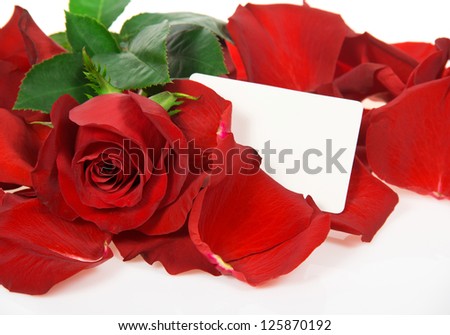 Red rose in petals with a congratulatory card isolated on white