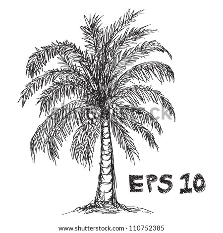 Coconut Tree Drawing Stock Vector 110752385 - Shutterstock