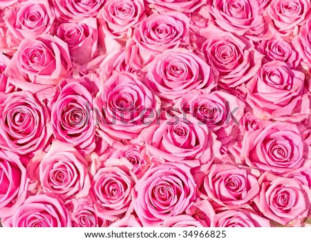 Seamless Floral Background Pink Roses Stock Vector 73919647 - Shutterstock