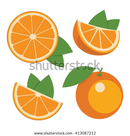 Oranges . Collection of whole and sliced orange fruits. Vector illustration.