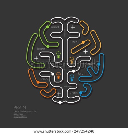 Flat linear Infographic Education Outline Brain Concept.Vector Illustration.