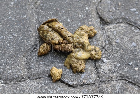 Dog Golden Poop On Street Stock Photo 289090169 - Shutterstock