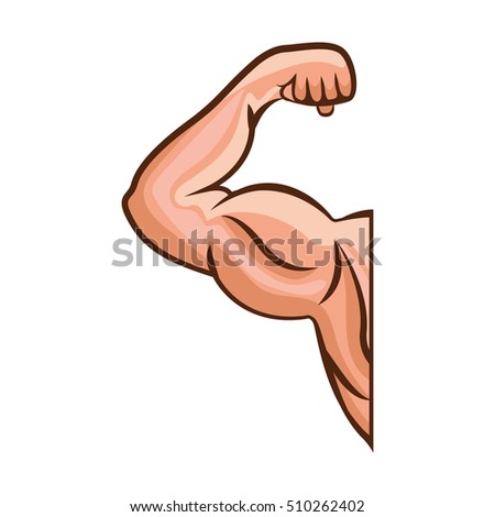 Shoulder Muscles Stock Images, Royalty-Free Images & Vectors | Shutterstock