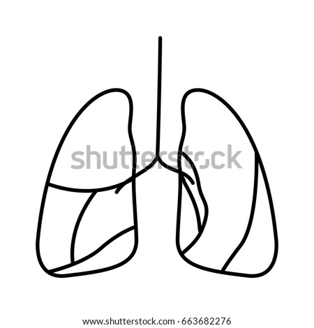 Sketch Lungs Vector Sketch Handdrawn Illustration Stock Vector ...