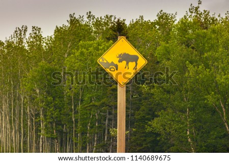 Moose Sign In Newfoundland St Johns Newfoundland And La Dor Canada Moose Sign In Newfoundland St Johns Newfoundland And La Dor Canada