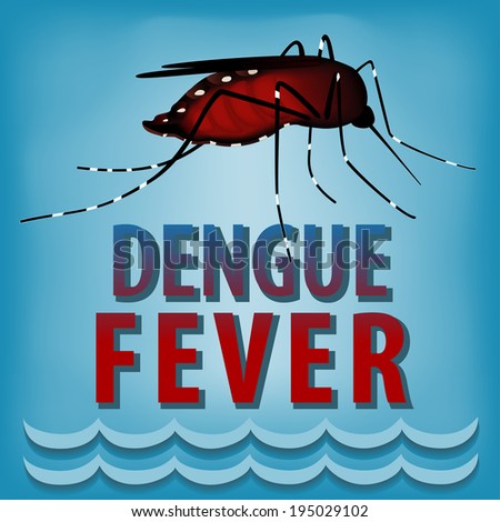 Dengue mosquito, standing water, title, graphic illustration isolated ...