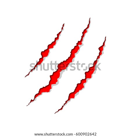 Claw scratch on white background, a vector illustration.