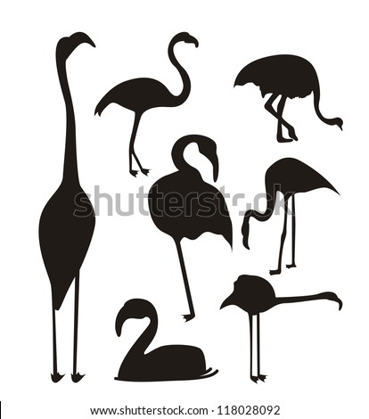 Black And White Flamingo Stock Images, Royalty-Free Images & Vectors ...
