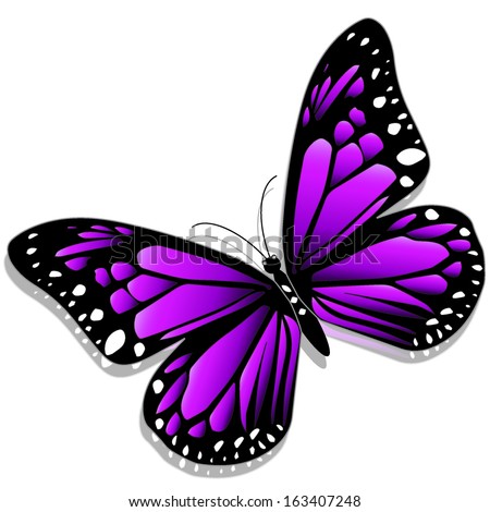 Download Illustration Purple Butterfly On White Background Stock ...