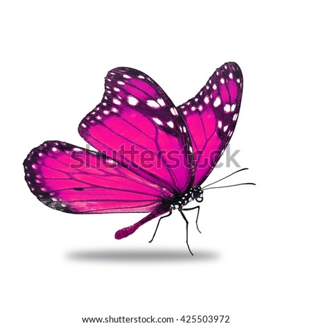 Beautiful Pink Monarch Butterfly Isolated On Stock Photo 398255908 ...