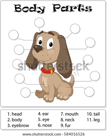 Animal Body Parts Stock Images, Royalty-Free Images & Vectors