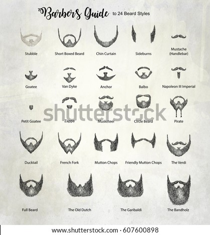 Barbers Guide Beard Styles Stock Illustration 607600898 