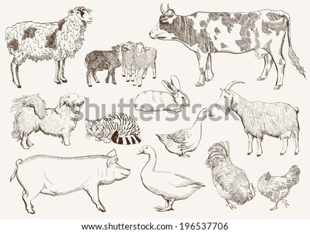 Farm Animals Set Vector Sketches On Stock Vector 190708094 - Shutterstock