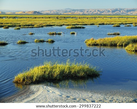 Marsh Stock Photos, Images, & Pictures | Shutterstock