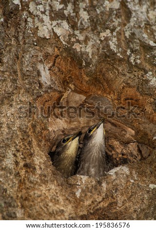 stock images royalty free images vectors shutterstock stock images royalty free images vectors shutterstock