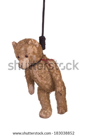 teddy bear hanging net