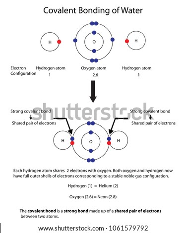 Steve Cymro's Portfolio on Shutterstock