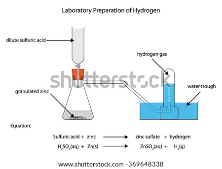 Labeled Diagram Laboratory Preparation Hydrogen Zinc Stock Vector ...