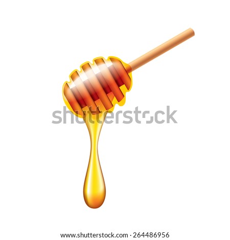 Honey stick with flowing honey isolated on white photo-realistic vector illustration