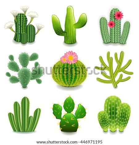 Cactus Icons Detailed Photo Realistic Vector Stock Vector 446971195