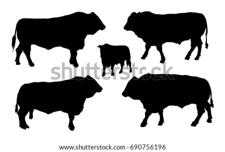 Bull Stock Images, Royalty-Free Images & Vectors | Shutterstock