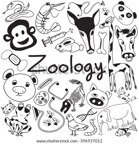 Zoology Coloring Pages Zoology Coloring Pages