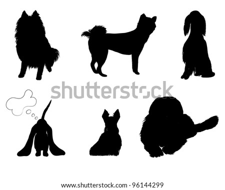 Irish Terrier Stock Illustrations & Cartoons | Shutterstock