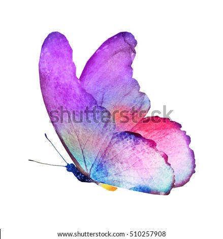 Watercolor Butterfly Isolated On White Stock Illustration 510257908 