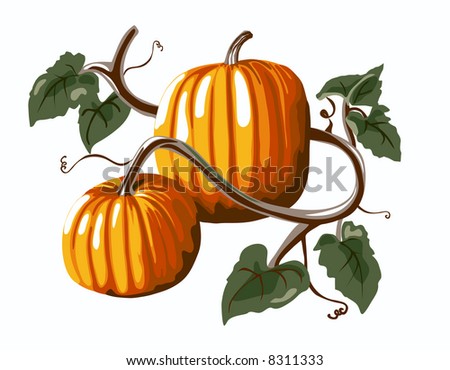 Pumpkin Vine Stock Images, Royalty-Free Images & Vectors | Shutterstock