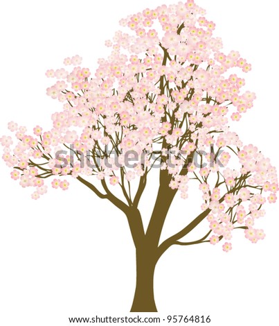Cherry-tree Stock Vectors, Images & Vector Art | Shutterstock