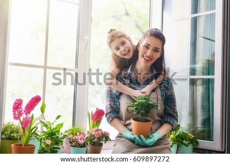 Cute child girl helps her mother to care for plants. Mom and her daughter engaged in gardening near window at home. Happy family in spring day.