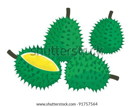 Durian Fruit